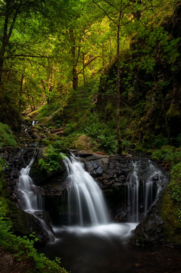 Gorton Creek Falls, USA