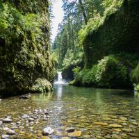Punchbowl Falls