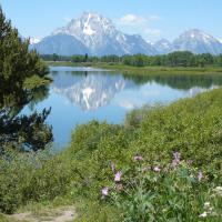 Oxbow Bend