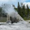 Upper Geyser Basin - Giant Geyser