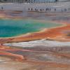 Midway Geyser Basin - Grand Prismatic Spring