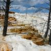Mammoth Hot Springs - Lower Terraces - Canary Springs