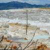 Mammoth Hot Springs - Lower Terraces - Canary Springs