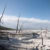 Mammoth Hot Springs - Lower Terraces - Canary Springs