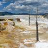 Mammoth Hot Springs - Lower Terraces - Canary Springs