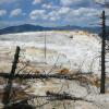 Mammoth Hot Springs - Lower Terraces - Canary Springs