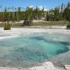 Norris Geyser Basin - Back Basin - Crater Spring