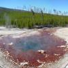 Norris Geyser Basin - Back Basin - Echinus Spring