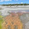 Norris Geyser Basin - Porcelain Basin - Whirligig Geyser