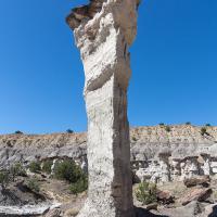 The Sentinel Hoodoo