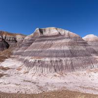Blue Mesa Trail