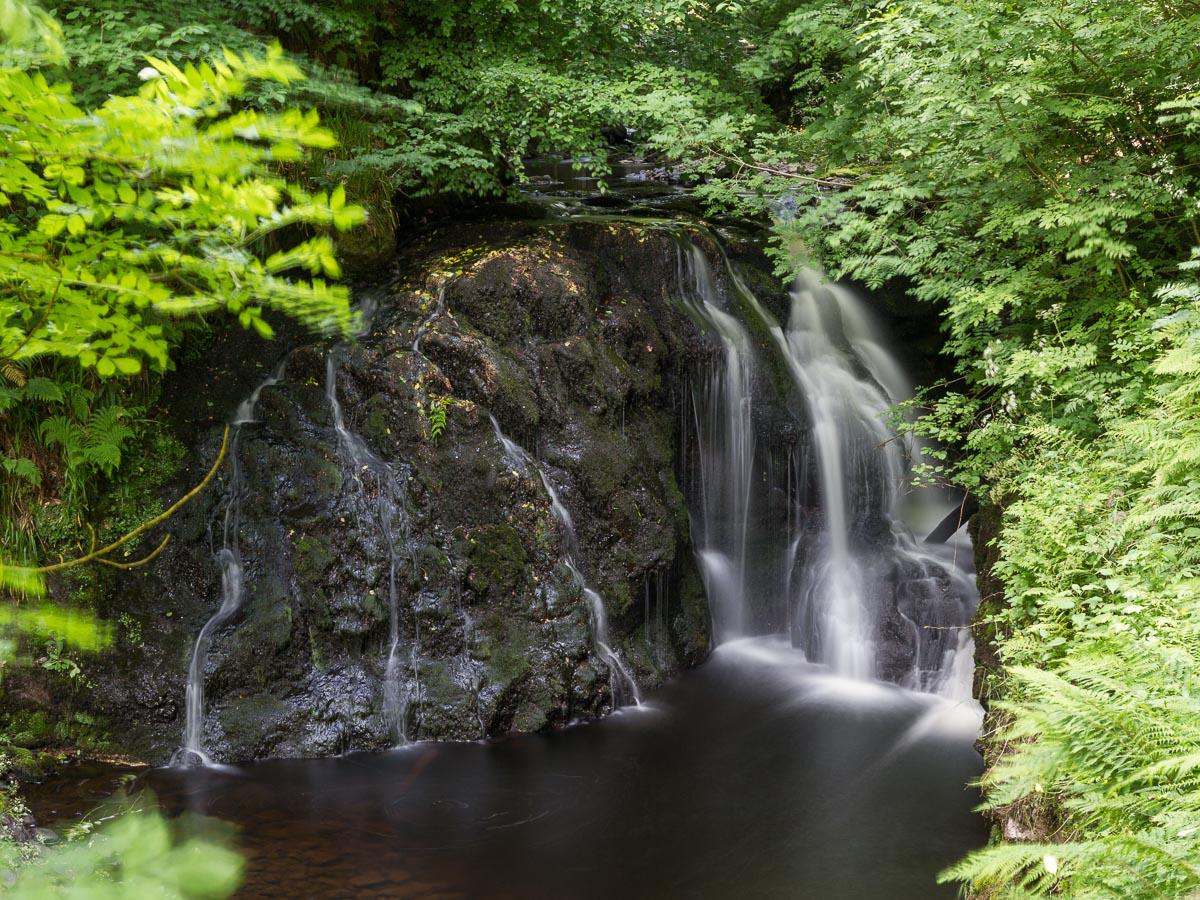 Glenariff Forest Park