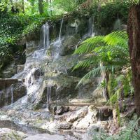 Jardin des fougères et sa cascade