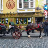 Temple Bar Street
