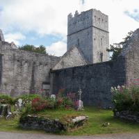 Muckross Abbey