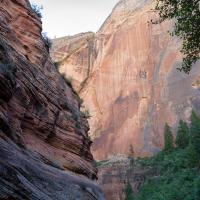 Observation Point Trail