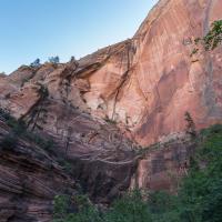 Observation Point Trail