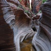 Observation Point Trail