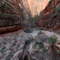 Observation Point Trail