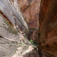 Observation Point Trail