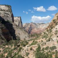 Observation Point Trail