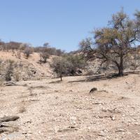 Daan Viljoen Game Park