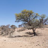 Daan Viljoen Game Park