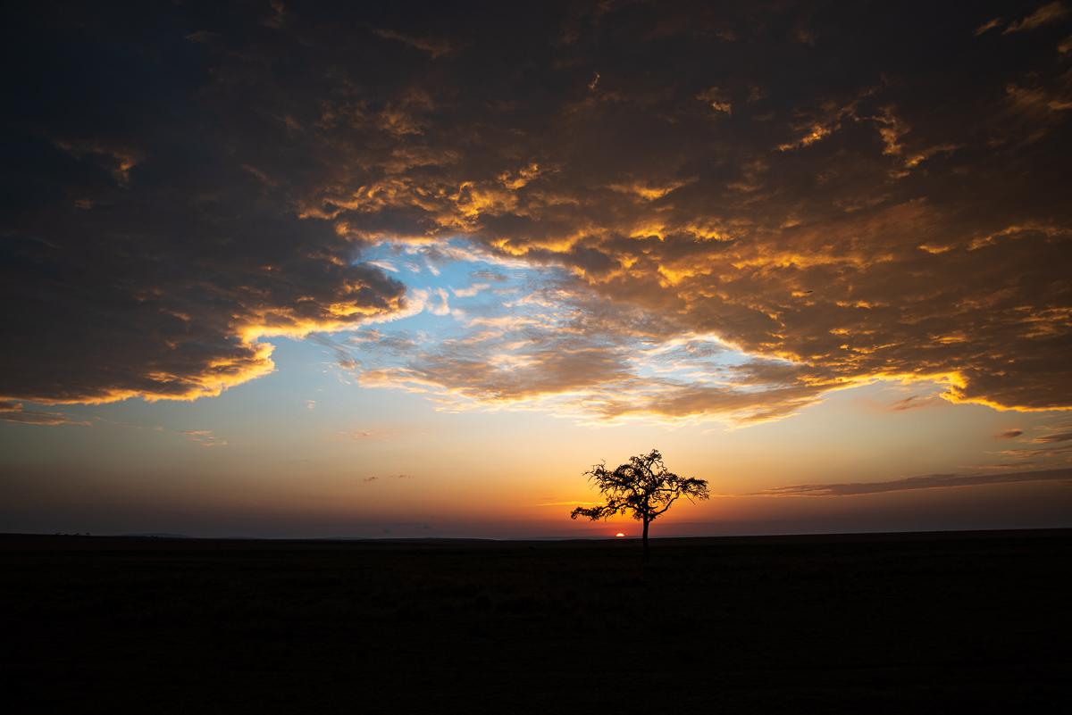 Masaï-Mara, Kenya