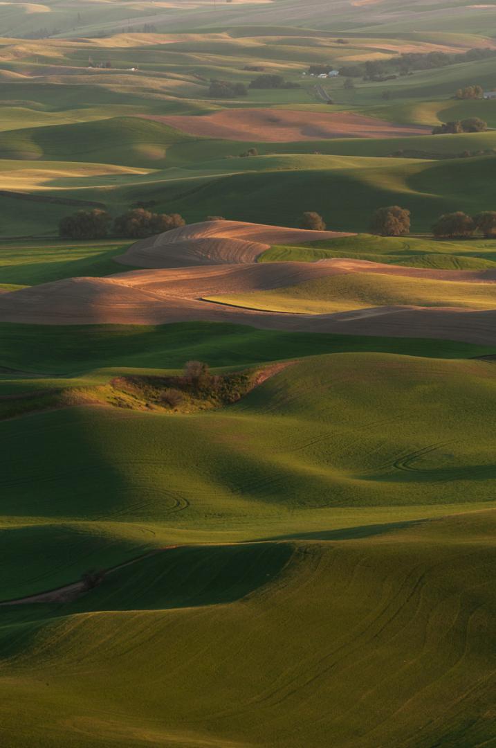 Palouse, USA