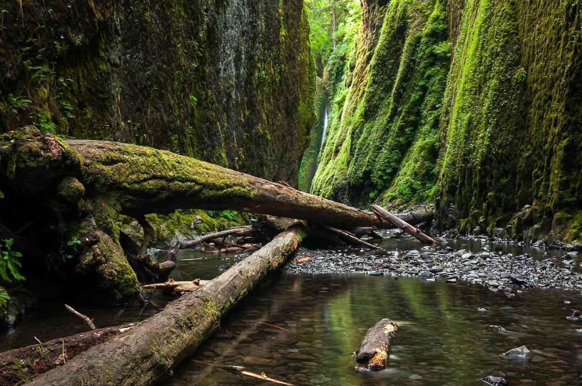 Oneonta Gorge, USA