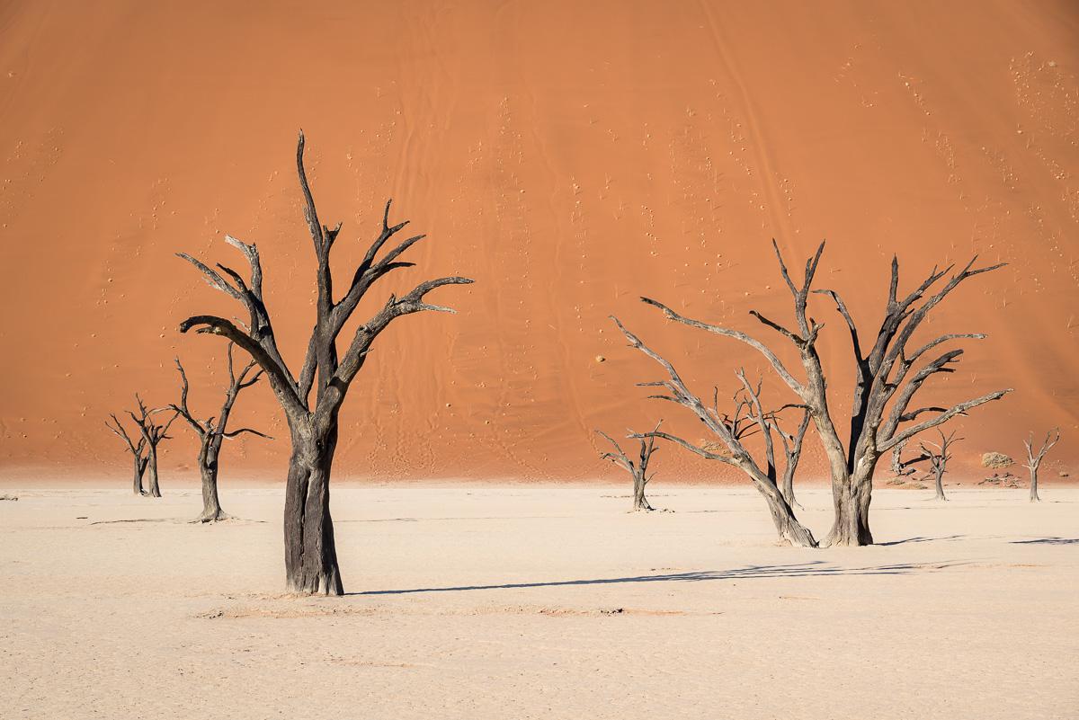 Deadvlei, Namibie