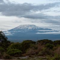 Kilimanjaro