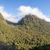 Hollyford Valley Lookout